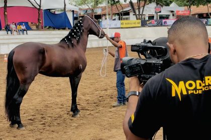 ExpoJequié: Moderna Publicidade transmite série de lives em feira de exposição agropecuária