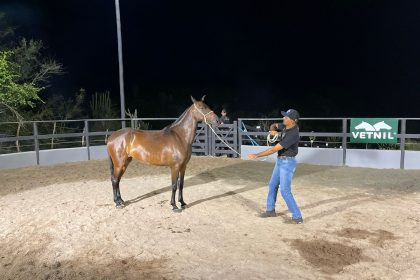 Moderna Publicidade produz lives do Haras Beira Rio em Cabaceiras do Paraguaçu