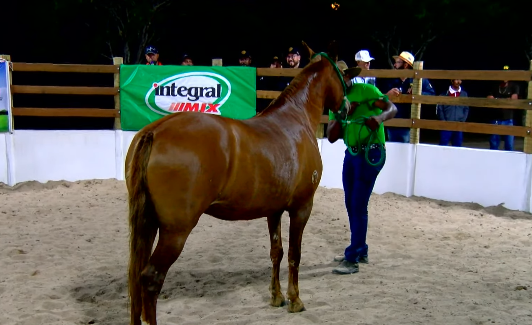 Moderna Publicidade produz live de 15 anos do Haras Alcançu