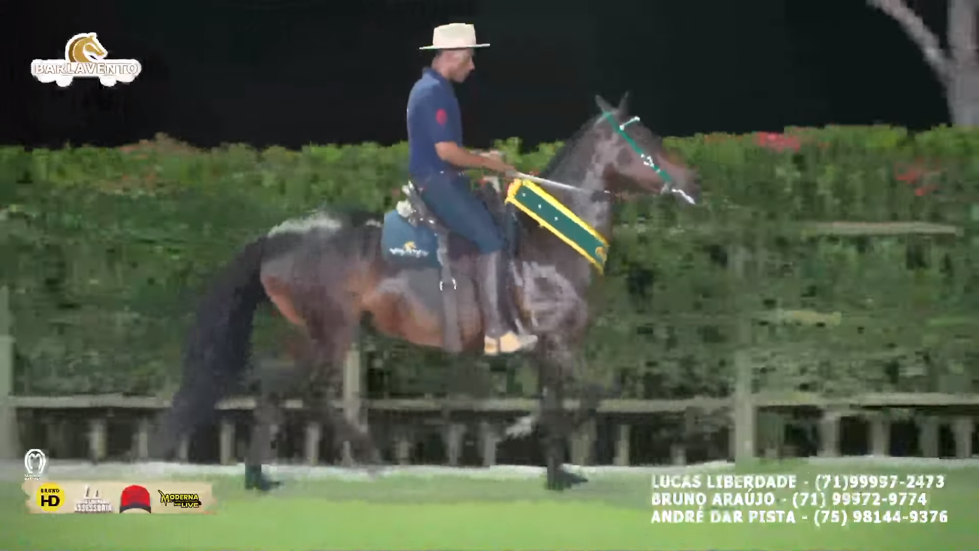 Moderna Publicidade realiza Live do Haras Barlavento em São Felipe